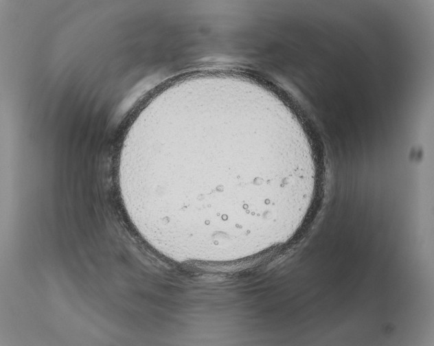 X0000110961259200907311058