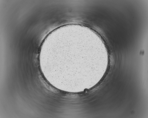 X0000110961260200907311058