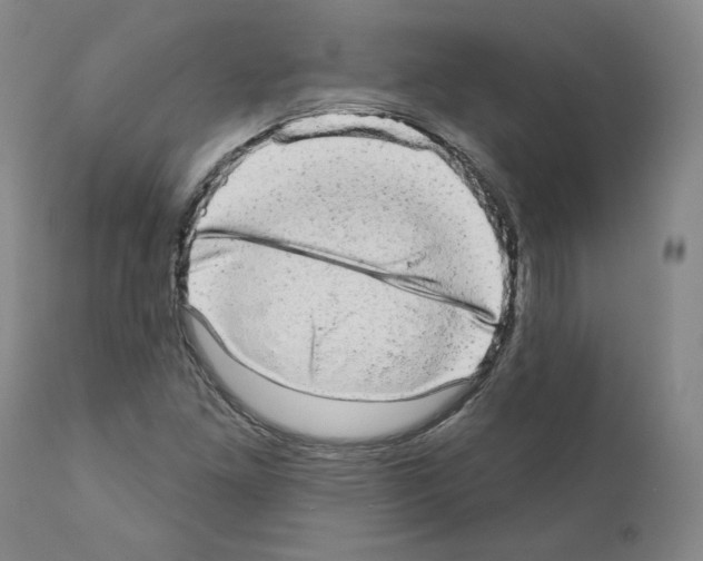 X0000110961261200907311058