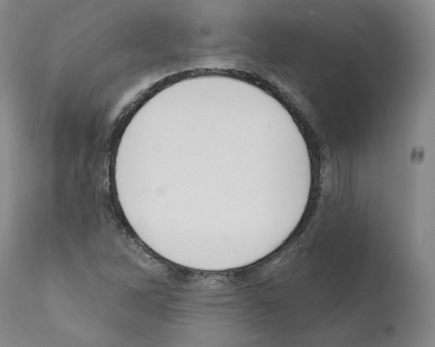 X0000110961262200907311058