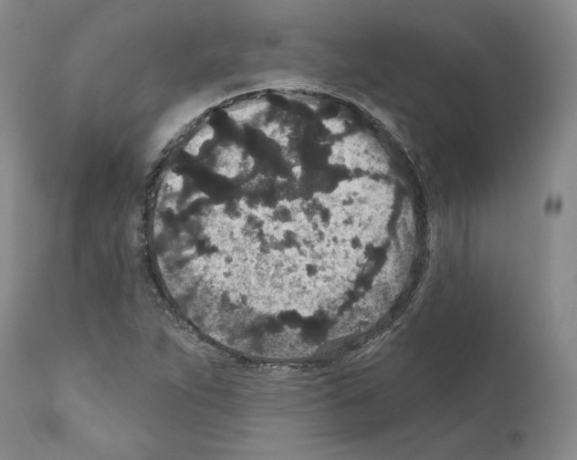 X0000110961263200907311058