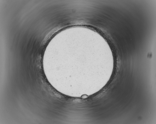 X0000110961265200907311057
