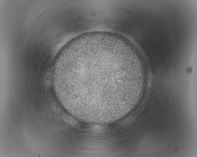 X0000110961266200907311057