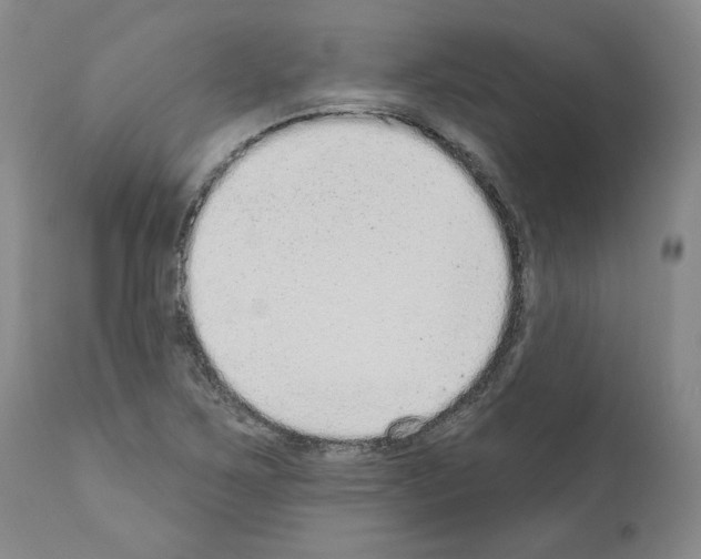 X0000110961267200907311057