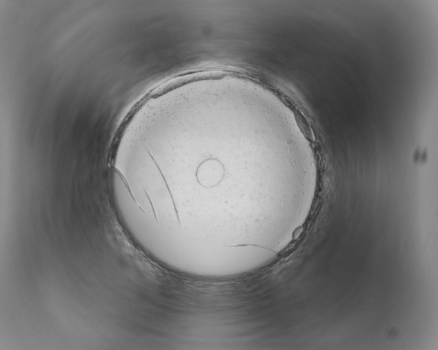 X0000110961268200907311057