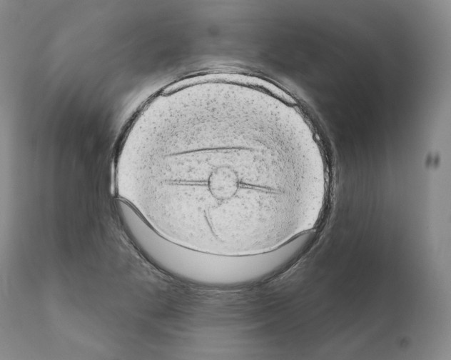 X0000110961269200907311057