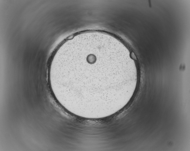 X0000110961270200907311057