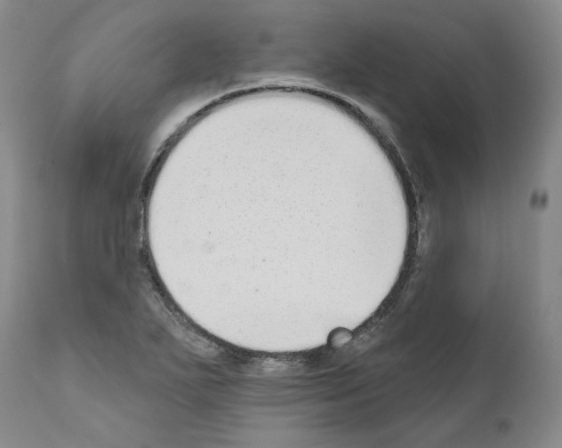 X0000110961271200907311057