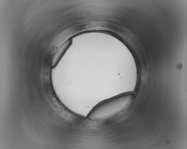 X0000110961273200907311057