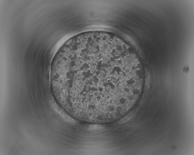 X0000110961275200907311057