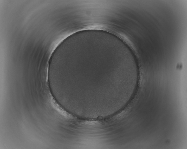 X0000110961276200907311057