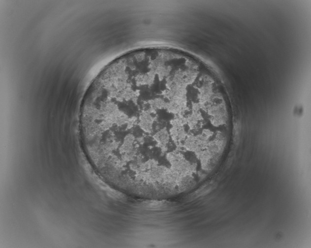 X0000110961279200907311057