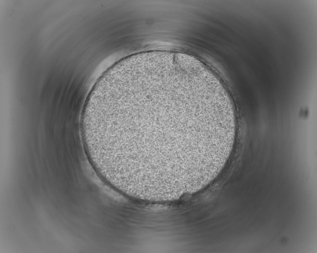 X0000110961283200907311057