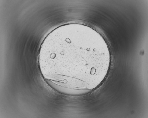 X0000110961284200907311057