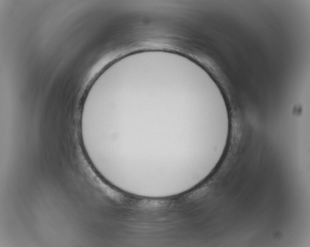 X0000110961286200907311057