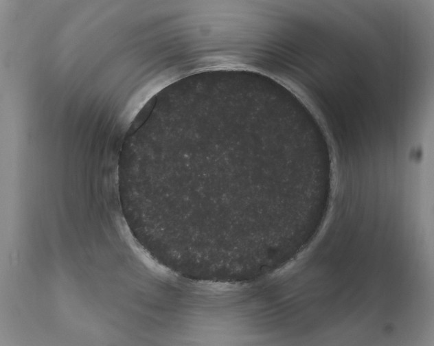 X0000110961289200907311057
