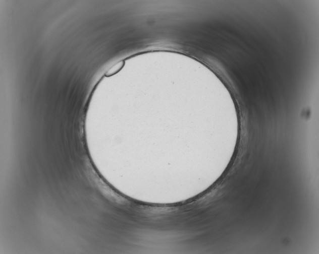 X0000110961292200907311057