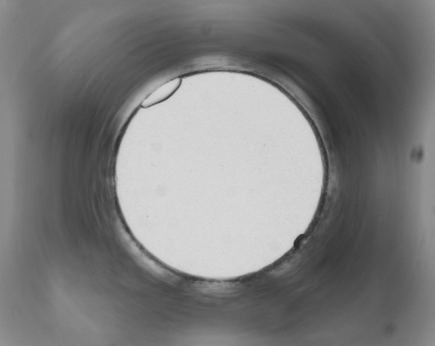 X0000110961293200907311057