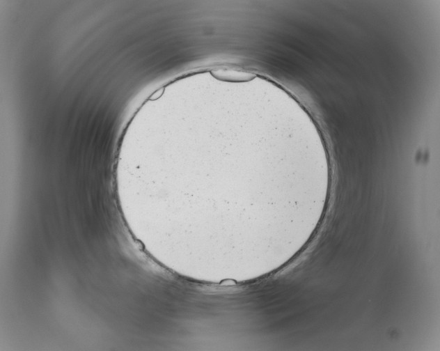 X0000110961296200907311057
