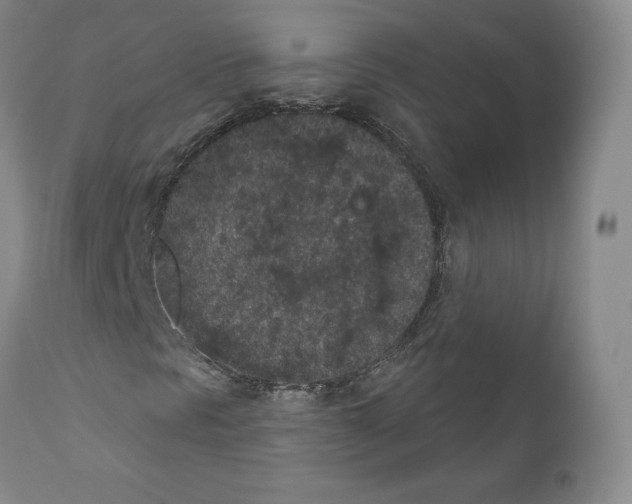 X0000110961297200907311056