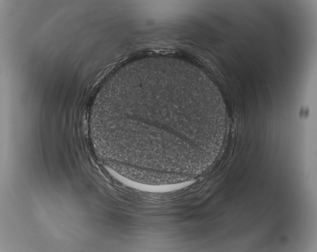 X0000110961298200907311056