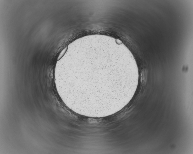 X0000110961299200907311056