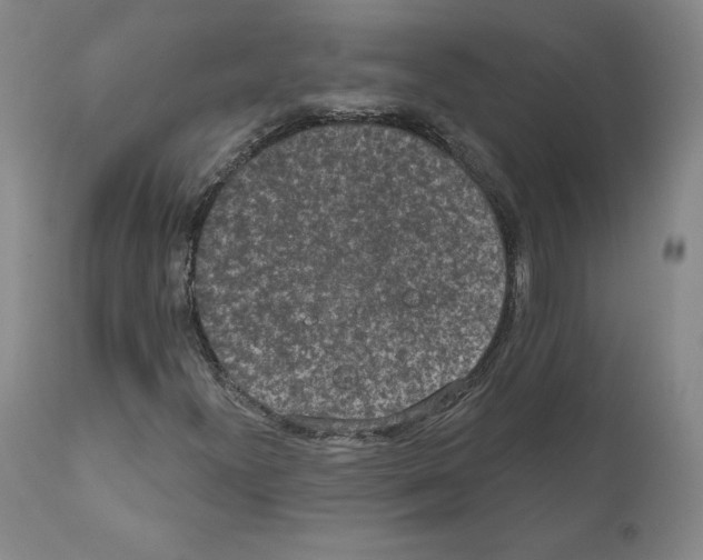 X0000110961300200907311056