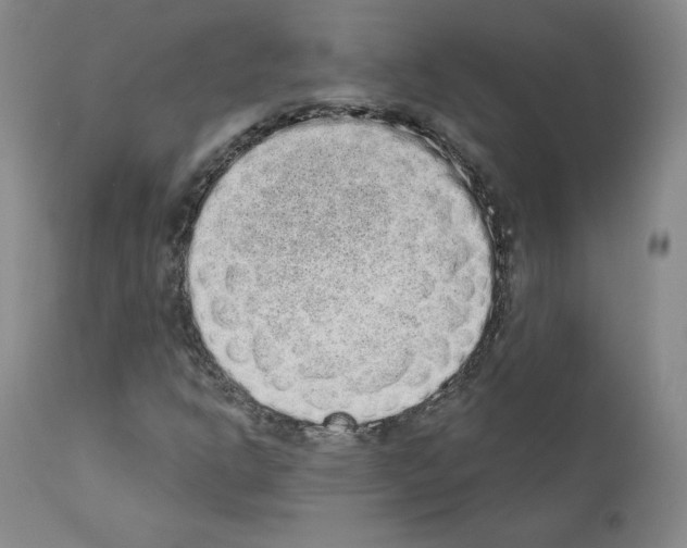 X0000110961302200907311056