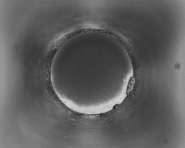 X0000110961303200907311056