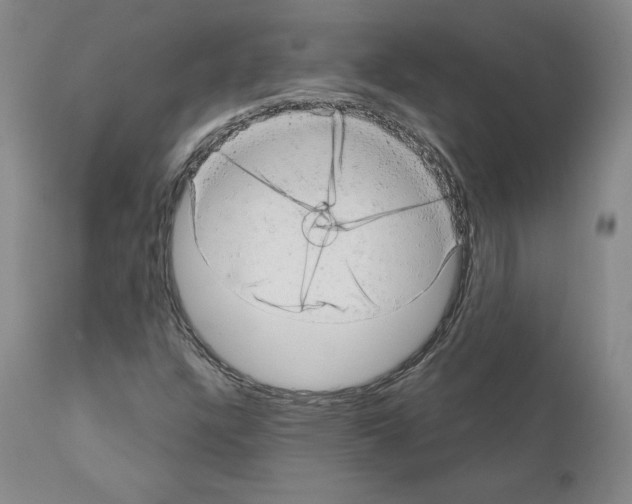 X0000110961304200907311056