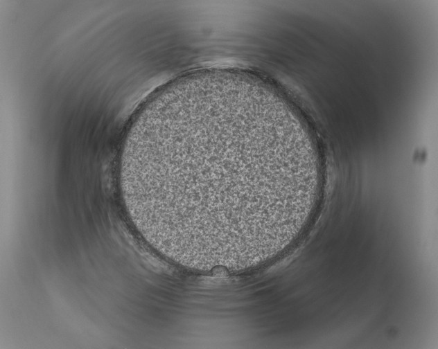 X0000110961305200907311056