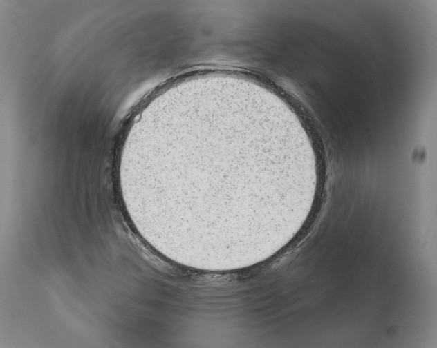 X0000110961307200907311056