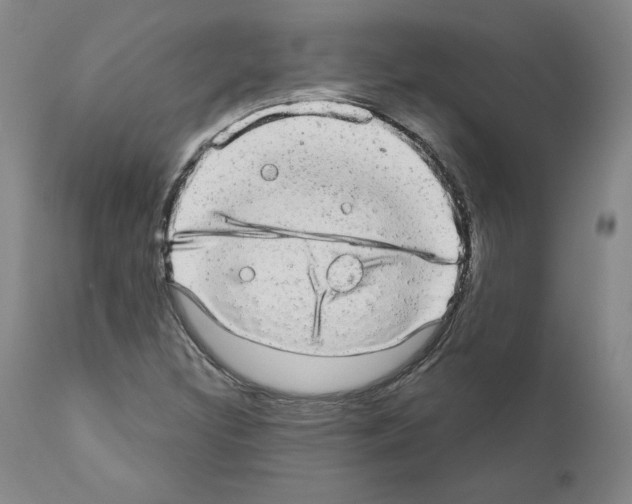 X0000110961308200907311056