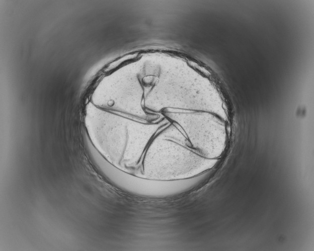 X0000110961310200907311056