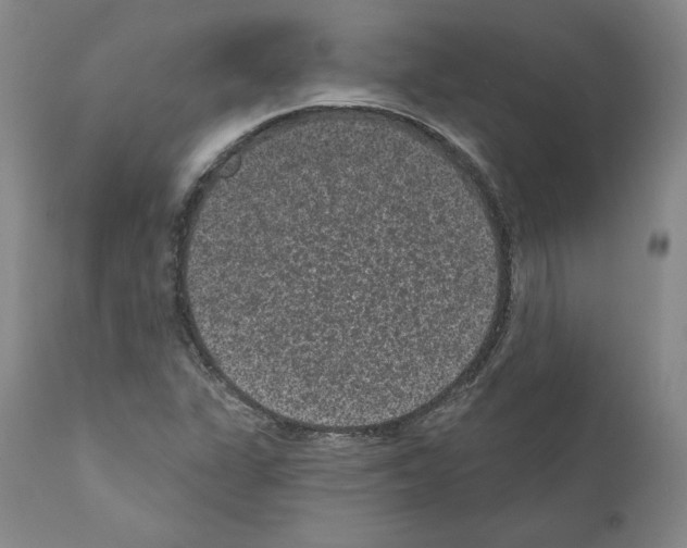 X0000110961311200907311056