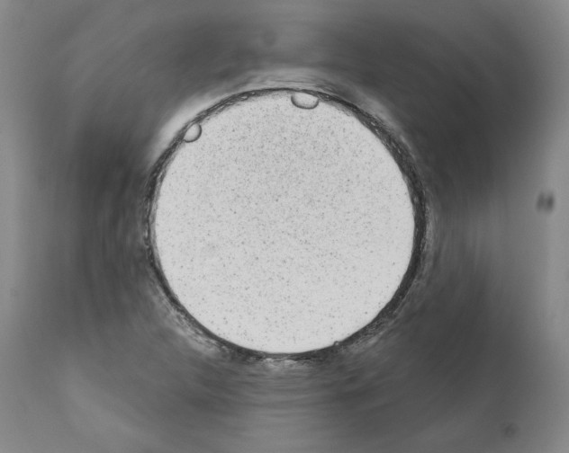 X0000110961312200907311056