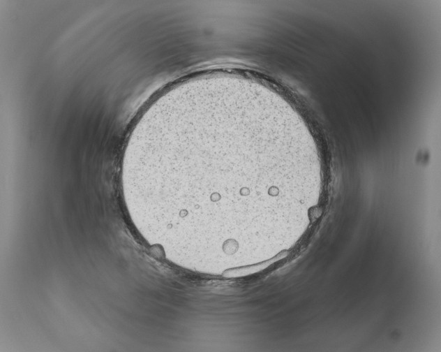 X0000110961313200907311056