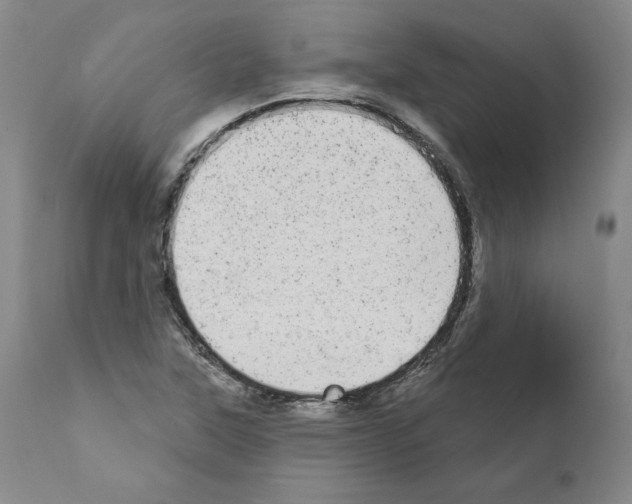 X0000110961315200907311056