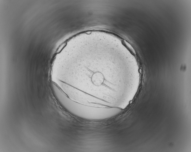 X0000110961316200907311056