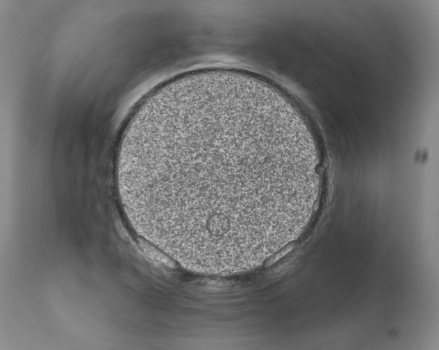 X0000110961318200907311057