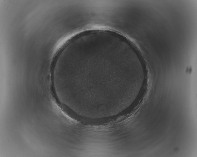 X0000110961319200907311057
