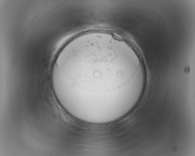 X0000110961320200907311057
