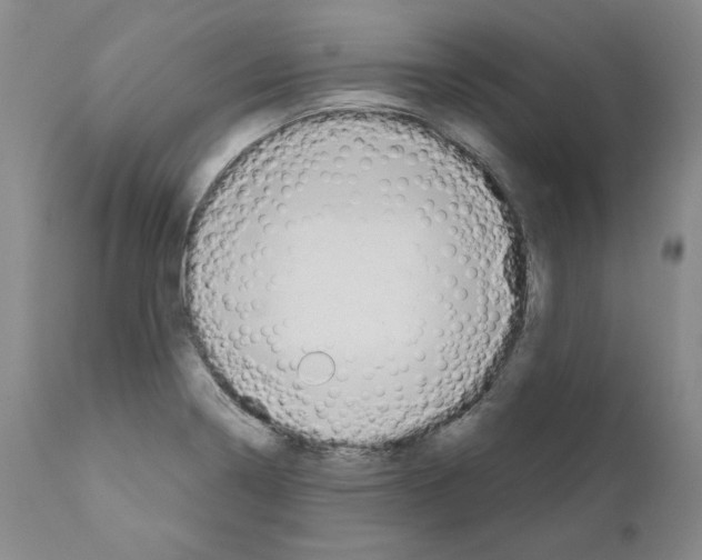 X0000110961322200907311057