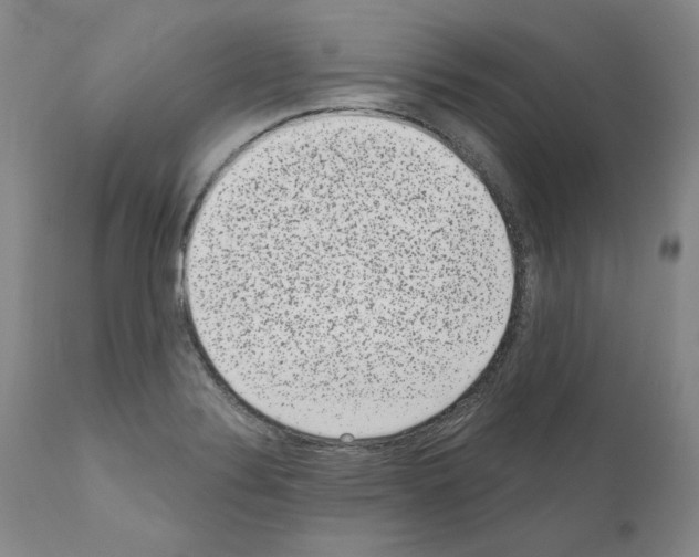 X0000110961324200907311057