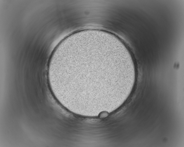 X0000110961325200907311057