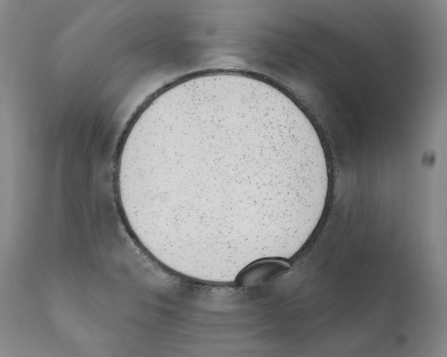 X0000110961326200907311057