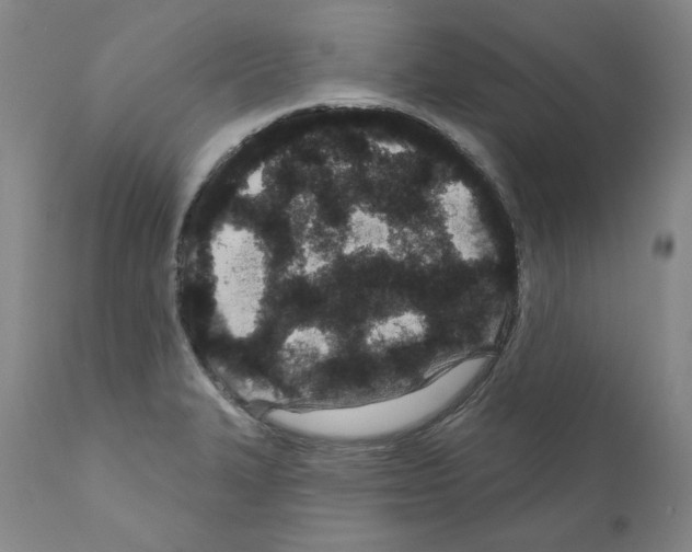 X0000110961327200907311057