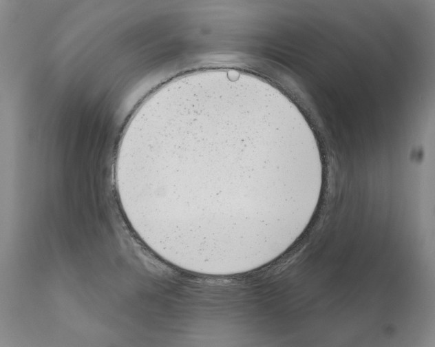 X0000110961328200907311057