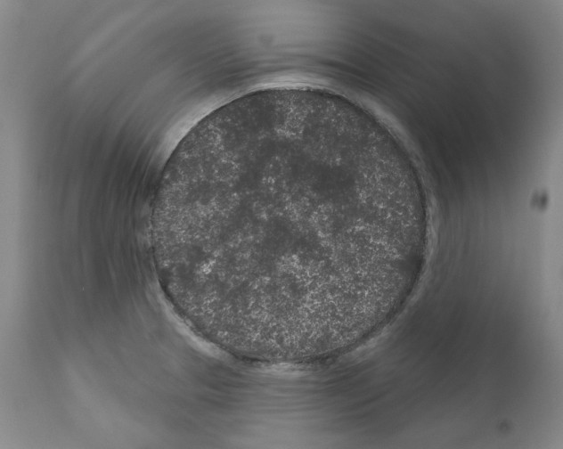 X0000110961329200907311057