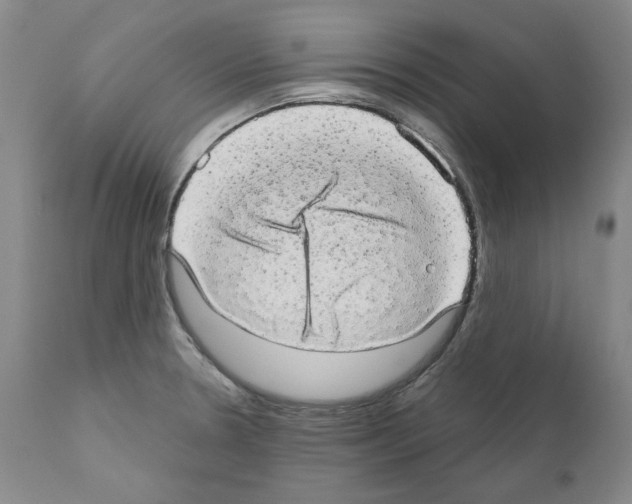 X0000110961330200907311057